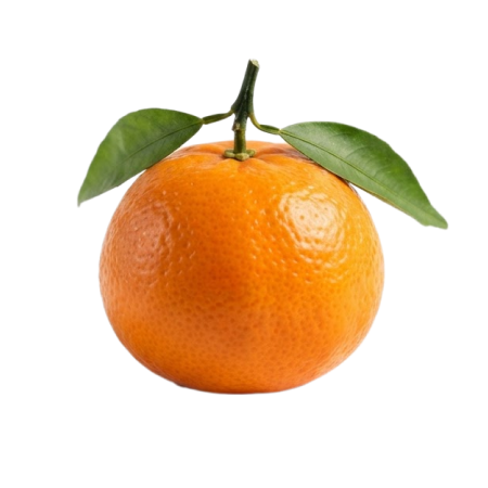 TANGERINE