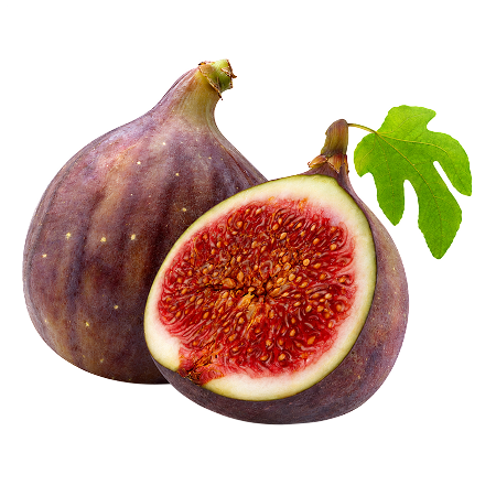 FIG